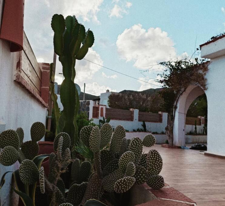 Casa En Cabo De Gata, Holiday home San Jose (Almeria)